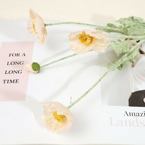  qiQV 8F A tFCNt[ CeA 41{ ԑ u[P ֑}  AW {  VNt[ sN CG[ _[Nbh zCg _ C