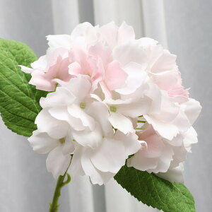  AWTC 10F A tFCNt[ CeA 11{ ԑ u[P ֑}  AW {  VNt[ sN CG[ _[Nbh zCg _ C