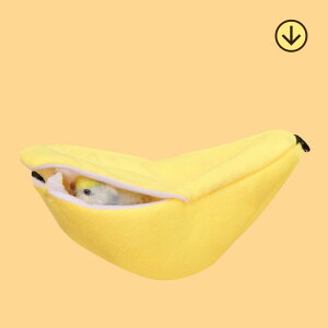 2 BƐeg oiinEX ̃nbN gXCOnMO\tg ̒gxbh nX^[Ԃ牺nEXP[W nMOnX^[xbh oii