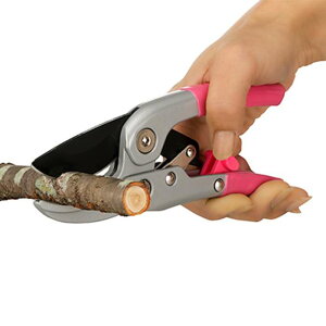 4i`Fbg X[YnT~ |͂ JXgbp[t tbfR[eBOH }  K[fjO |pi  y v xmpbNX h1026