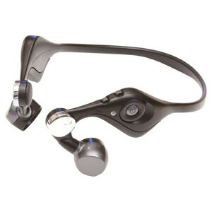 W ݂݂ƃzTV w^ CX Xs[J[ ɓȂ Cz wbhz O[ GP[H ES-600GT