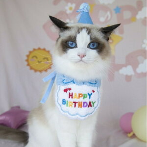 ybg a X^C Zbg ybgX^C 2_Zbg Xq 悾ꂩ o[Xf[ {  L tHg j p[eB[ Cxg ybgpi ʐ^ LO Be ybgObY Mtg