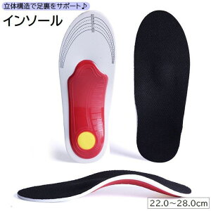 C\[ ~ fB[X Y jZbNX C Xj[J[  Ռz ʋC T|[g NbV TCY߉\