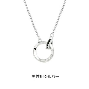 lbNX fB[X Y Vo[ pt v[g  jp p Jbv  yA AM[Ή ANZT[ Vo[ S[h l i LC Silver