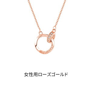 lbNX fB[X Y Vo[ pt v[g  jp p Jbv  yA AM[Ή ANZT[ Vo[ S[h l i LC Silver