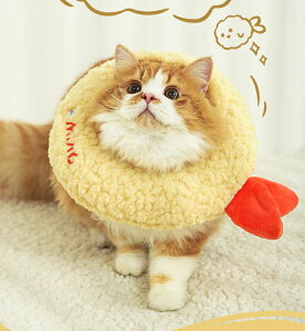 VՂ Ă  L GUxXJ[ h[ic^ ~^ PA[pi 畆ی 킢 lC V ^ t H~ \tg ͂ɂ hbO|[Y