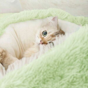 ybgxbh Lxbh ~ LpnEX ybgnEX ^ ۉ Q ӂӂ h[^ 􂦂  g ی^ _炩 ybgNbV ˂  ʔNp  \t@ }