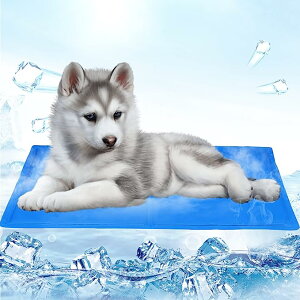 ybg Ђ}bg  L  N[}bg p}bg ЂV[g ⊴ WF }bg ₦}bg Ђ ėp MǁE΍ ЂЂ pr h hJr ⊴}bg 