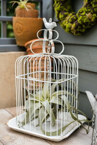 t[x[X o[hQ[WX^h ACA o[hK[{ K[fjO K[f G v^[ AeB[N ԑ t[Q[W I[ig IuWF LhX^h ݂