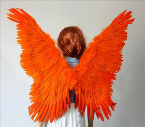 4F@Vg̉H ̉H tFU[ EBO  GWF Vg d RXv RX`[  ߑ SX p[eB[ nEC@RXv ߑ nEC RX`[ nEC