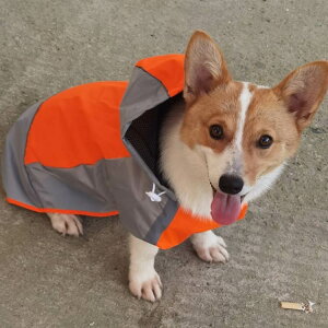  CR[g ^ ^ ^ pCR[g ̕ hbOEFA J ̃Jbp JH   JH h ~J  C|` AE^[ Jbp hbOEFA AEg