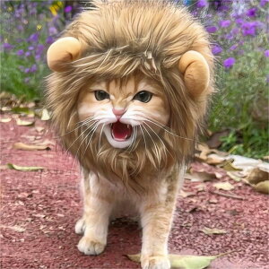  L  Xq y^Lz y^Lz CI ϐg Ȃ肫   蕨  RX`[ ڂ N ʐ^ 킢 ybg RX`[ RXv