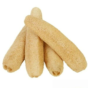 VRw`} @\ w`}X|W w`}킵 3 HuV M H Lb`pi Ȃ yzꂪ