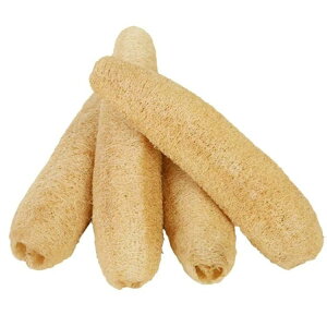 VRw`} @\ w`}X|W w`}킵 3 HuV M H Lb`pi Ȃ yzꂪ