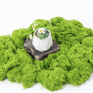 tFCNX lHA 150g lH ͋[ p  RP X tFCNO[ zf  lH ۋʑ Ήf K[f 뉀  ͌^ WI} ϗtA }bg W