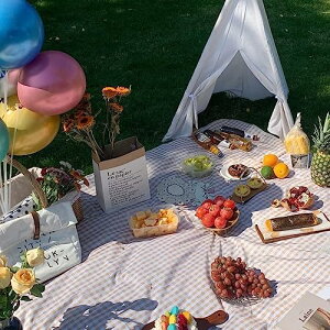 W[V[g sNjbNV[g RpNg  140/150/200x200cm ܂肽 2`8lp y h h 唻  }bg gѕ֗  ^ Ԍ 傫 q ԉΑ AEghA C 