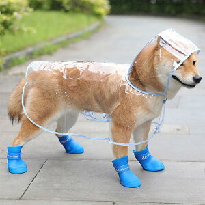  CR[g Jbp pV[Y hVRu[c C ^ ^ ^ y Xqt ʋC K h h h ho  u[ J U ی ybgpi ObY ^ (XS/S/