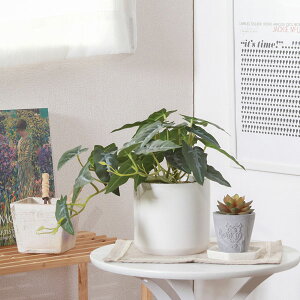 tFCNO[ AJVA Z~bN|bg Z~bN|bg K[fjO|pi ϗtA  AWϗt   킢 v[g ؍CeA