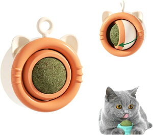 ߋ L ̃N[jO nbJ{[ }^^r{[ߋ LVԕ LLbgjbv L̂ Lbgjbv Lpi 