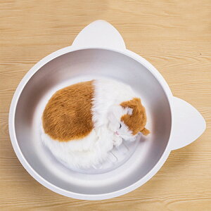 L N[xbh STCY 38*38cm LTCY45cm*45cm A~xbh LN[ A~Lbg{ELp ЂN[ ėp L p ACXxbhA~ p}bg ⊴ ~ M 