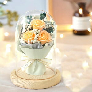 \[vt[ V{h[ AWg KXh[ t[Mtg o KN ԑ u[P a j v[g