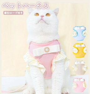 ybgpn[lX ^ p n[lX  ^ lR EFAn[lX n[lX n[lX Ȃ ̌^ 킢 ȒPE ߉\ h~ P݌y U op 4J