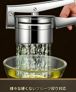 XeXIW i@ʏ`ii蓮W[T[ ڂ t[ci IW   i i@ ŐVʏ`100g}gAXCJAIWAUN