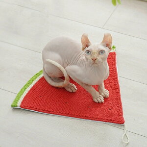 ܌ }bg Lp XNb`pbh Ƌی VRf TCU ybgpi L ܃pbh L ߂Ƃ V[g qL L