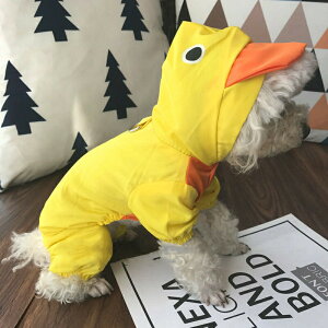 ybg CR[g J RXv h J U S`XL hbOEFA  ybgEFA  ^  h CR[g ybgp y {^fUC ʋC h t[ht