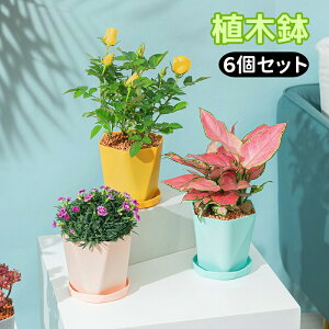 y6ZbgzAؔ vX`bN    ^ A |bg 킢 y A  A A ~jAKp v^[e | CeAt[ |  |bV