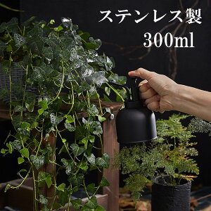 傤 W[   XeX 300ml  Xv[ ~XgXv[ |v IV  g K[fjO ϗtA    U T Up 