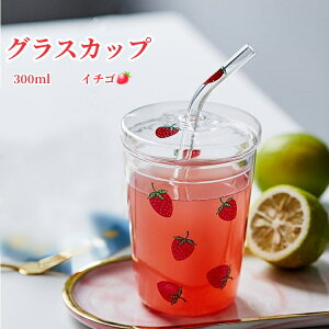 C`S OXJbv 300ml Jbv EH[^[{g C`S{g C`S  Xg[t 킢  f C`S̕ OX p wZp ItBXp Xp Xg