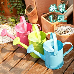 傤 @JI 1.5L K[f |  Up ϗtA  O뉀 ^т₷ 򔫐A Ap 