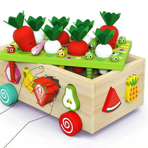  `킹 3 4 5 6 7 8 j̎q ̎q eb\[ v[g j a NX}X V ۈ c q 卪 