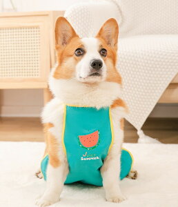 D悯Gv CGv UGv ybgpGv R[M[ Upi hbOEFA ybgEFA p ^ ^ U o CObY JJbp h~ 