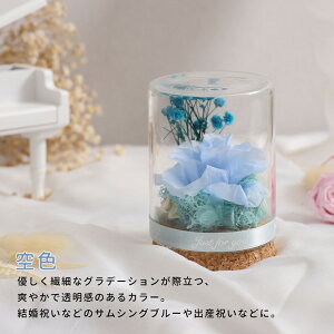 vU[uht[ Mtg ԑ o v[g ͂Ȃ {gt[ av[gEjE\E蕨 KXh[ ̓ ޏ  v[g a j 