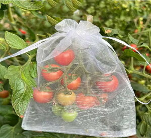 ʕ 100Zbg ʕ ʎی lbg @\ bVobO В ʎ ʕیlbg Q ɍ JX΍ ݂  h hlbg ʉ/R ƒ؉p |