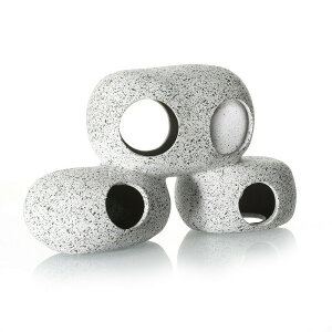  IuWF B   ANAE u VF^[ I[ig Gr _J