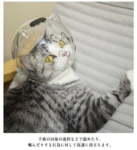 rߖh~ LJo[ GUxXJ[ \  Lp ybg}XN ی \tg p ^ ^ L̒ܐ؂⏕}XN ی ˂ ܐ؂ C FwbhMA