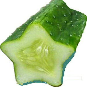 JlRc イ̌^ 4{ Zbgイ̌^ ^ JlRc n[g^ `e