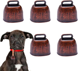 5Zbg ̏ ƒ{ t@[A`x M̗ 邳n̗ n݂̒ A`Xgqx S̕q _Ɨpq rƎRr̗ _qx qA`Xgx