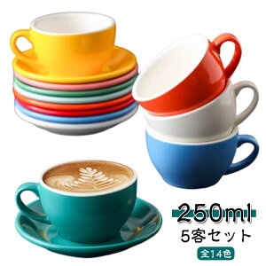 �R�[�q�[�J�b�v 5�q�Z�b�g ���q�p ���� 250ml �}�O�J�b�v �\�[�T�[ �Z�b�g �J���[�J�b�v �k�� ������� �}�O �J�b�v �M �T�� ����J�b�v �J�t�F ���� �R�[�q�[ �H�� �q�M �ƒ�p �Ɩ��p �I�t�B