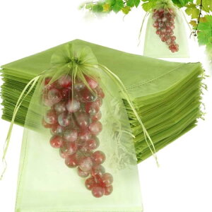 �Ԃǂ��� ��񂲑� �ʕ��l�b�g 100���� �ʕ��� �ی�l�b�g �h���l�b�g ���悯 ���悯 �т� �� �C�`�S �ʎ��p �h���l�b�g �ʕ��ی� �ʎ��� �J