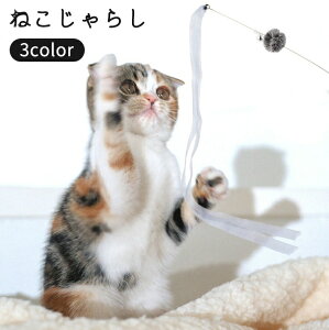 ˂炵 Lp lR ybgObY  x R { || ^s XgX