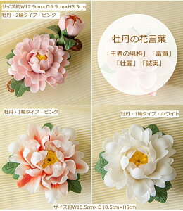 100N͂Ȃ̂ O ւ̉ E {^̉   u u  Ԃ̃IuWF CeA ͂Ȃ AW ̉ t[ Mtg