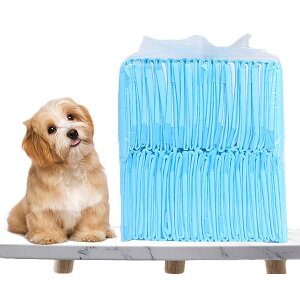 ybgp}bg  ybg}bg gCV[g gC~}bg NbV pbh ybgV[c h ĝ p Lp   ybgpi z L h~ 