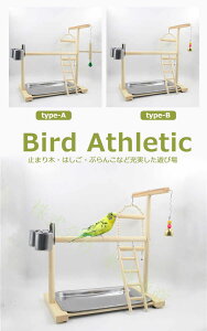  ݂艺   ~܂ ^[ CR ؐ  ߋ Mt ͂ AX`bN xe h炵