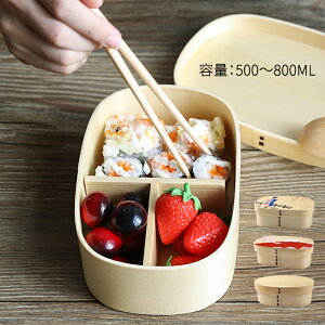 Ȃ ٓ VRؐ  d؂t e 500ml-800ml `{bNX Y fB[X jq q H lp ی`  1i ٓ ʋ ʊw AEghA oR Lv sN