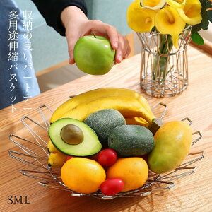 C[oXPbg t[cgCNGCeBu ܂肽 ωɕxގ[ BSt[coXPbg ό` t[c{E oXPbg  ό` oXPbg JS @\ t[c