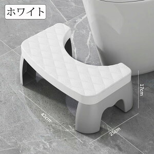 gCݑ qgCg[jO gCXebv ⏕ݑ ⏕֍ 񒣂 xr[pݑ u @\ lq܂Ō gCȂǂɓKp [֗ ^